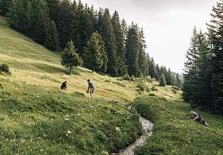 Sunstar Swiss Hotel Collection Grindelwald Alpienne 12